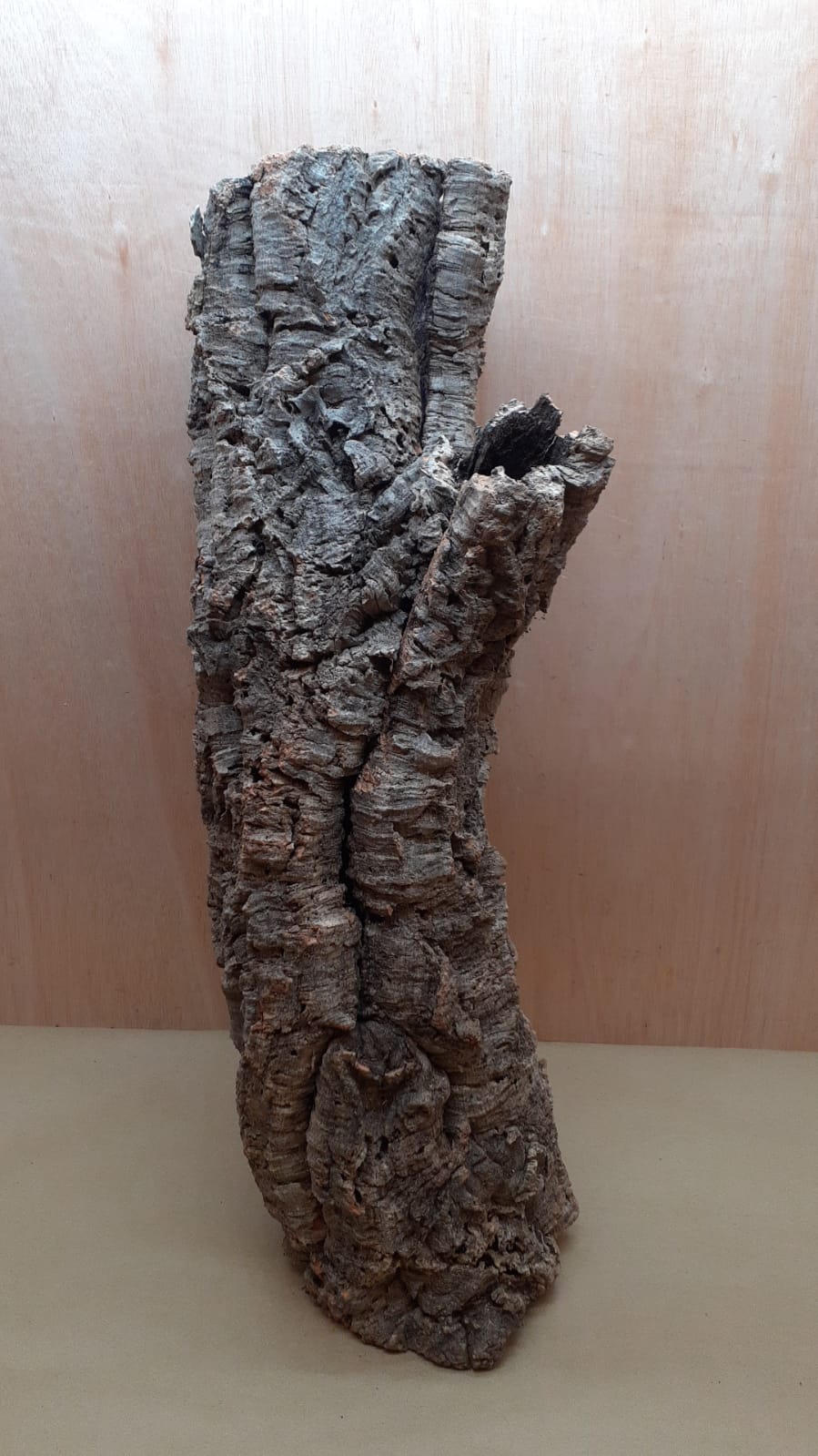 Large Cork Tube - 80-110cm - 5