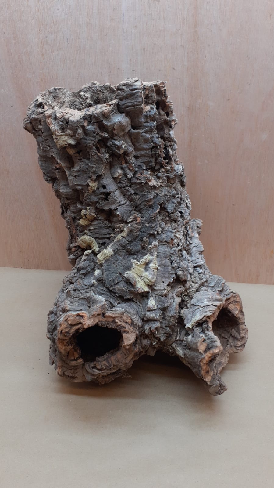 Large Cork Tube - 40-60cm - 8