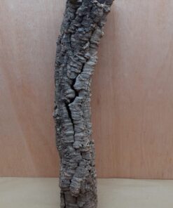 Small Cork Tube - 60-80cm - 1