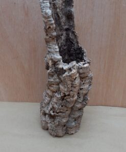 Small Cork Tube - Upto 40cm - 2