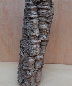 Small Cork Tube - Upto 40cm - 3