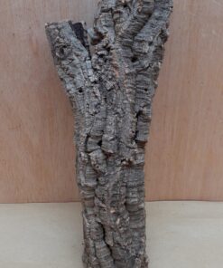Small Cork Tube - Upto 40cm - 9