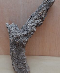 Small Cork Tube - Upto 40cm - 11