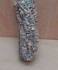 Small Cork Tube - Upto 40cm - 13