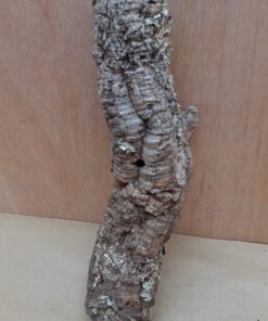Small Cork Tube - Upto 40cm - 14
