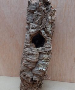 Small Cork Tube - Upto 40cm - 17