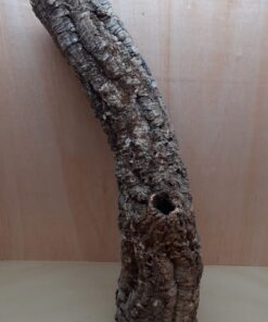 Medium Cork Tube - 80-110cm - 12