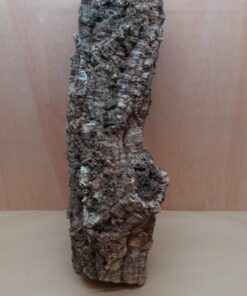 Medium Cork Tube - 60-80cm - 16