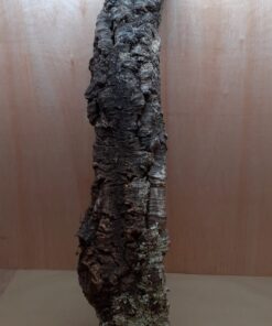 Medium Cork Tube - 80-110cm - 15