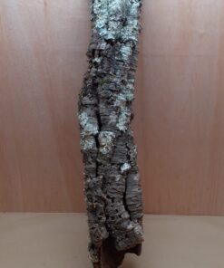 Medium Cork Tube - 80-110cm - 19