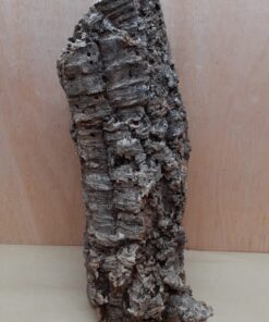 Medium Cork Tube - 40-60cm - 11