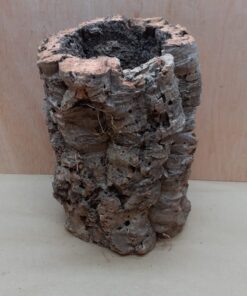 Medium Cork Tube - Upto 40cm - 4