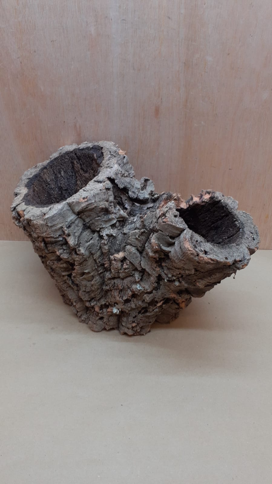 Medium Cork Tube - Upto 40cm - 5