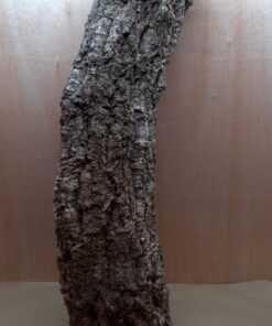 Large Cork Tube - 80-110cm - 1
