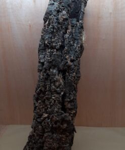 Large Cork Tube - 80-110cm - 2