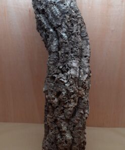 Large Cork Tube - 80-110cm - 3