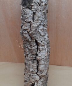 Small Cork Tube - 40-60cm - 1