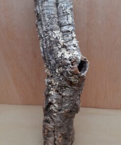 Small Cork Tube - 40-60cm - 2