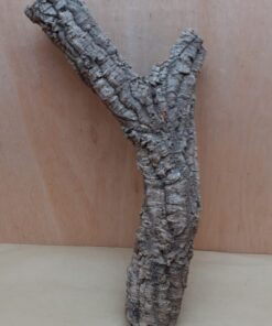 Small Cork Tube - 40-60cm - 3