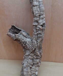 Small Cork Tube - 40-60cm - 4