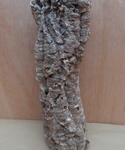 Small Cork Tube - 40-60cm - 5