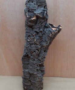 Small Cork Tube - 40-60cm - 7