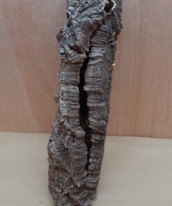Small Cork Tube - 40-60cm - 12