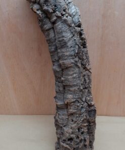 Small Cork Tube - 40-60cm - 13