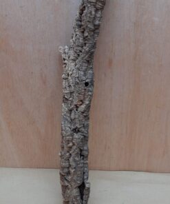 Small Cork Tube - 40-60cm - 16