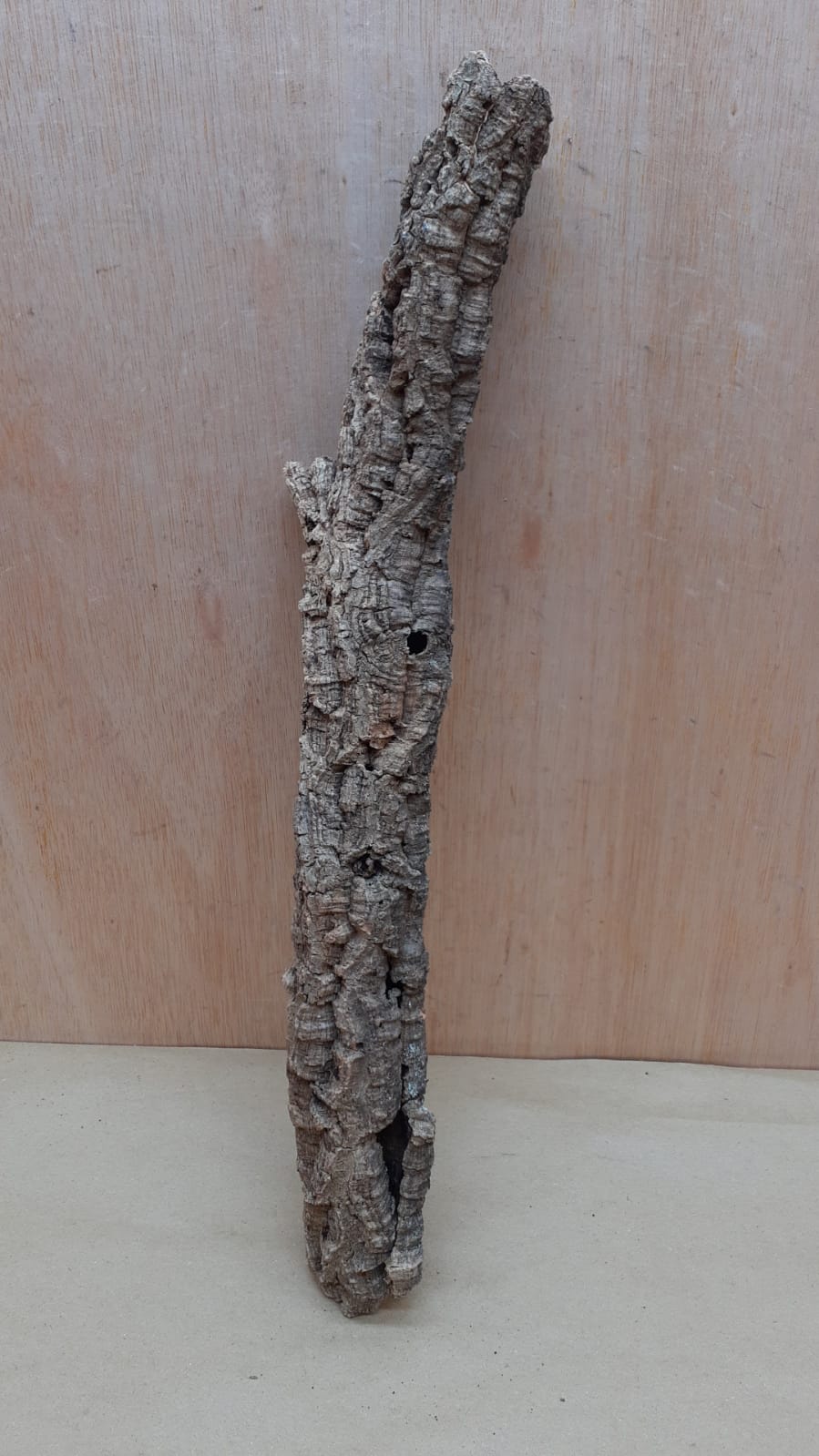 Small Cork Tube - 40-60cm - 16