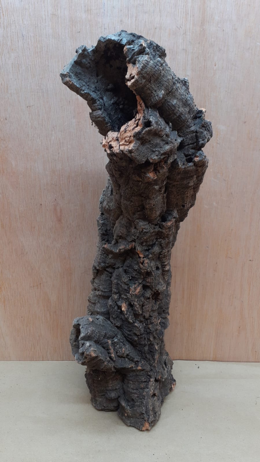 Small Cork Tube - 40-60cm - 17