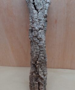 Small Cork Tube - 40-60cm - 19