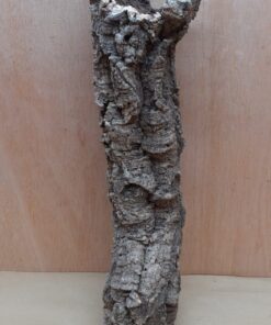 Small Cork Tube - 40-60cm - 20