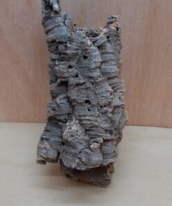 Small Cork Tube - Upto 40cm - 19