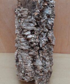 Medium Cork Tube - Upto 40cm - 18