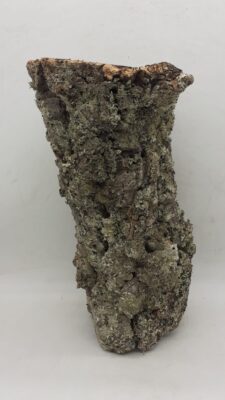Medium Cork Tube - 40-60cm - 17