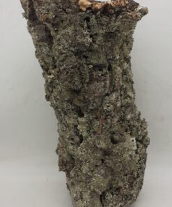 Medium Cork Tube - 40-60cm - 17