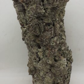 Medium Cork Tube - 40-60cm - 17