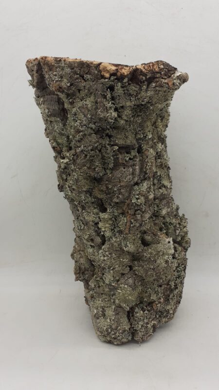 Medium Cork Tube - 40-60cm - 17