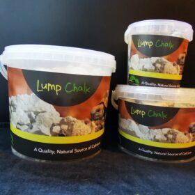 Bioactive Herps Lump Chalk