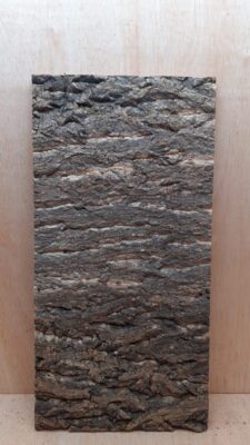 Cork Bark Background Panel 30x60cm - 10