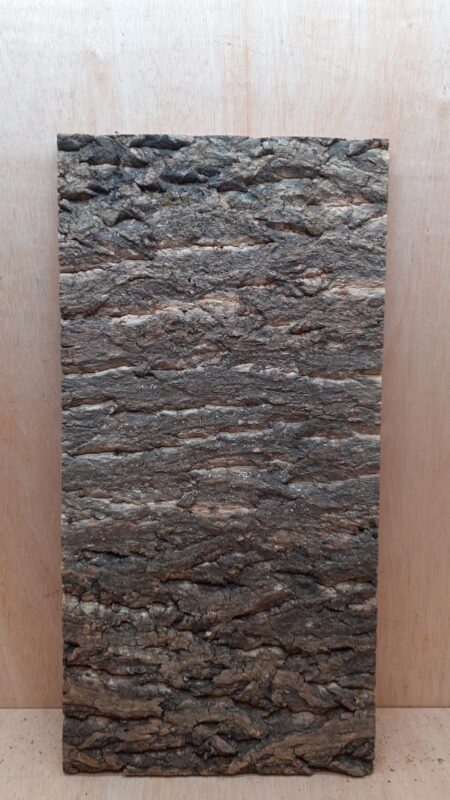 Cork Bark Background Panel 30x60cm - 10
