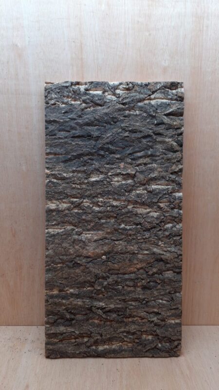 Cork Bark Background Panel 30x60cm - 2