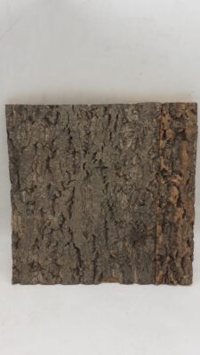 Cork Bark Background Panel 30x30cm - 3