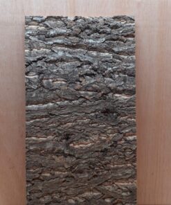 Cork Bark Background Panel 30x60cm - 3