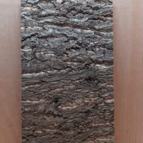 Cork Bark Background Panel 30x60cm - 3