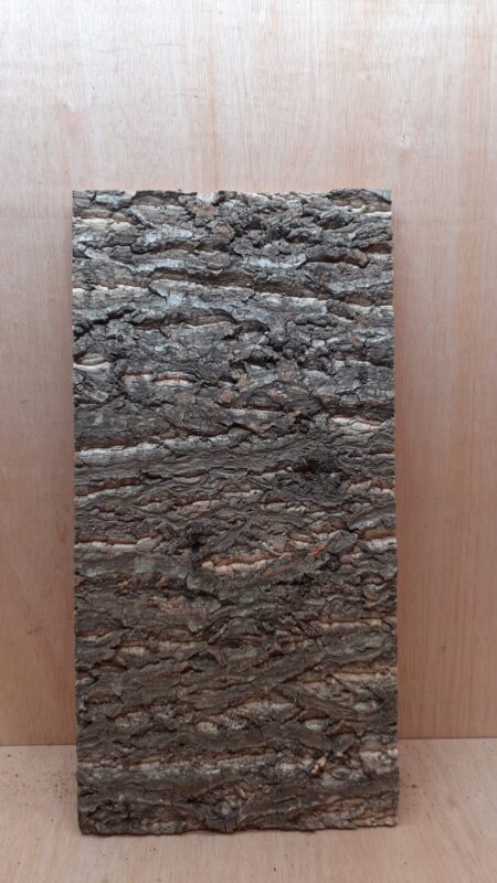 Cork Bark Background Panel 30x60cm - 3