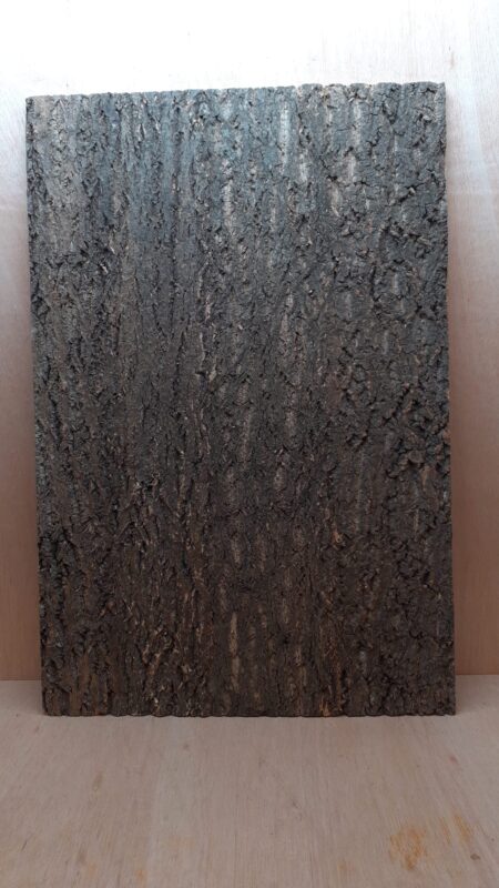 Cork Bark Background Panel 90x60cm - 3