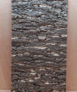 Cork Bark Background Panel 30x60cm - 4