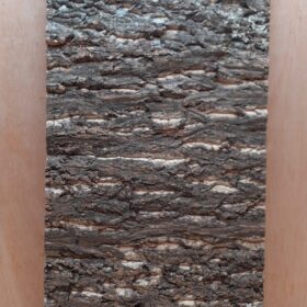 Cork Bark Background Panel 30x60cm - 4